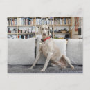 Suche nach sofa postkarten Farbbild