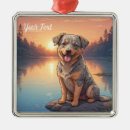 Recherche de aussies ornements Chien