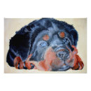 Recherche de animaux portraits Mignon