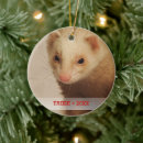 Recherche de furet ornements Mignon