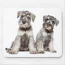 Suche nach miniatur alle mousepads Minischnauzer