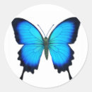 Suche nach papilio aufkleber Blau