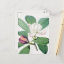 Suche nach weißes blatt postkarten Aquarell