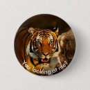 Suche nach niedlicher tiger buttons Wild