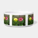 Recherche de zinnia rose Jolie