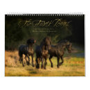 Recherche de frisons calendriers Étalon