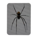 Recherche de araignées magnets Métal