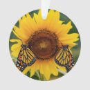 Suche nach schmetterlings fotos ornamente Monarchfalter
