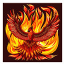 Suche nach unsterblichkeit poster Phoenix