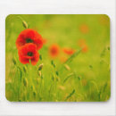 Recherche de coquelicots tapis souris Nature