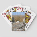 Recherche de hibou jeux de cartes Oiseaux de proie