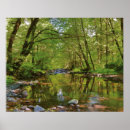 Suche nach panorama poster Wald