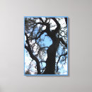 Suche nach bewölkt leinwandbilder Bäume