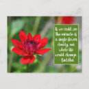 Recherche de dahlia rouge cartes postales Fleur