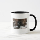 Recherche de mts tasses Presse