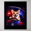 Suche nach corgi poster Hund