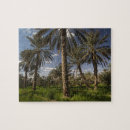 Recherche de la tunisie puzzles Paysage
