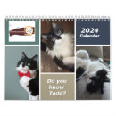 Suche nach chroniken Katze