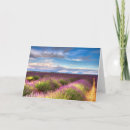 Suche nach provence karten Lavendel