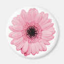 Suche nach gerber magnete Blume