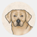 Recherche de dessin de labrador retriever autocollants Mignon