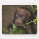 Suche nach unschuld mousepads Hund
