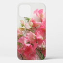 Recherche de fleur de pois doux Pour elle
