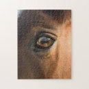 Recherche de tête de cheval puzzles Animal