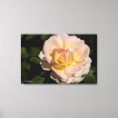 Suche nach tee leinwandbilder Blumen