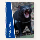 Recherche de le diable Diable de tasmanie