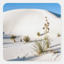 Suche nach yucca aufkleber Landschaft