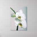 Suche nach flower leinwandbilder Blume