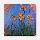 Suche nach iris blume magnete Bunt