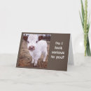 Suche nach glückliche kuh karten Lustig