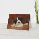 Suche nach bernhardiner karten Bernard