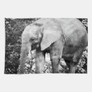 Recherche de éléphant cuisine linges Animaux