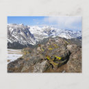 Recherche de ventre cartes postales Neige