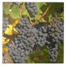 Recherche de vignoble carreaux Végétation