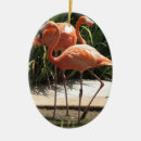 Suche nach menge ornamente Florida