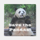 Recherche de panda maison deco Animaux