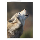 Suche nach heulender wolf Kopf