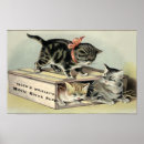 Suche nach soap poster Katzen