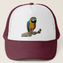 Recherche de perroquets casquettes Oiseau