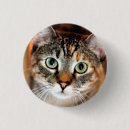 Recherche de minou mignon badges Amoureux des animaux