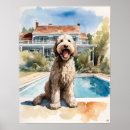 Suche nach labradoodles poster Kaninchen