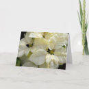 Recherche de étoile noël cartes Saison des fêtes