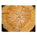 Suche nach blog poster Natur