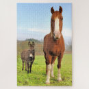 Recherche de âne puzzles Cheval