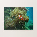 Suche nach nautisch puzzle Meerestiere