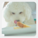 Recherche de mangeant autocollants Animaux domestiques
